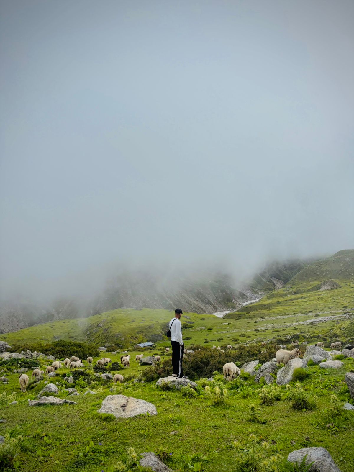 Alpine Thrills gallery — WhatsApp Image 2025-12-26 at 11.54.58 AM (1)